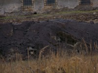 /album/skladka-popilku-kamenny-pahorek/a100-6181-jpg/